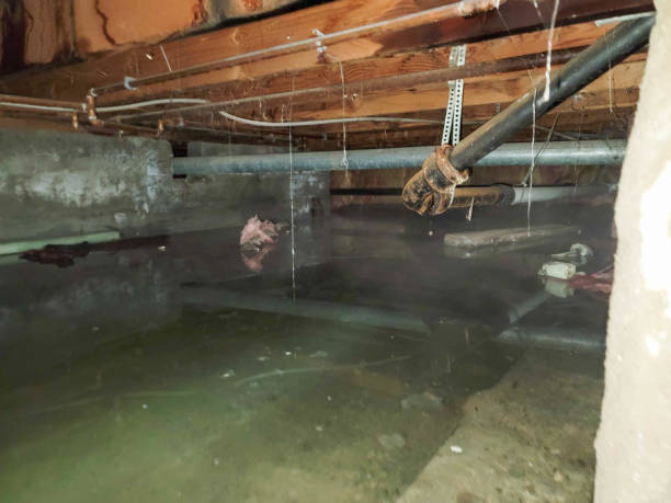 Trusted Suamico, WI Water damage restoration Experts