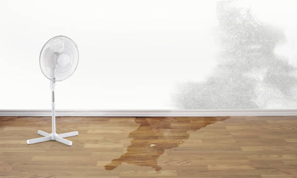 Best Fire Damage Restoration  in Suamico, WI