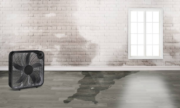 Best Emergency water damage restoration  in Suamico, WI