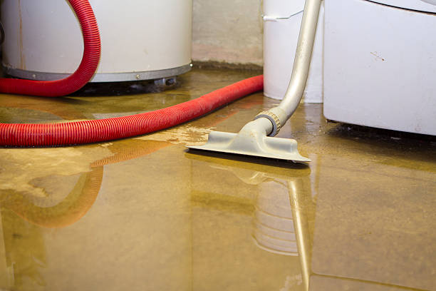Best Professional water damage repair  in Suamico, WI