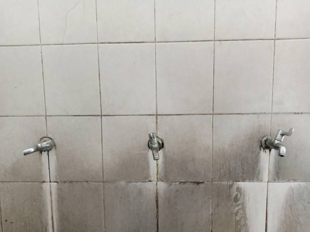 Best Local water damage restoration  in Suamico, WI