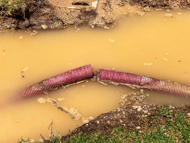 Best Water damage contractors near me  in Suamico, WI