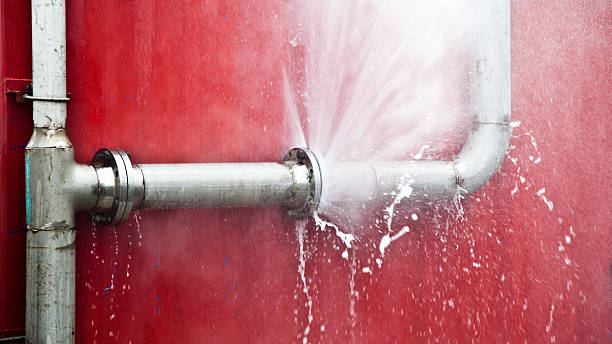 Best Water damage cleanup near me  in Suamico, WI