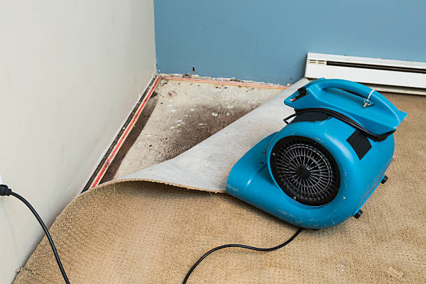 Best Commercial water damage restoration  in Suamico, WI